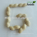 Wholesale peanuts 1kg price